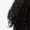 Closeup of dark curly hair on a white background